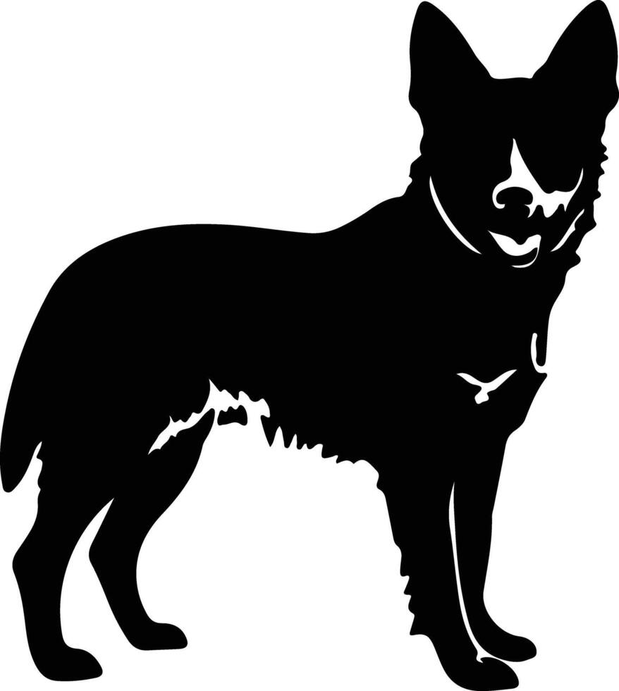 Australian Cattle Dog    black silhouette vector