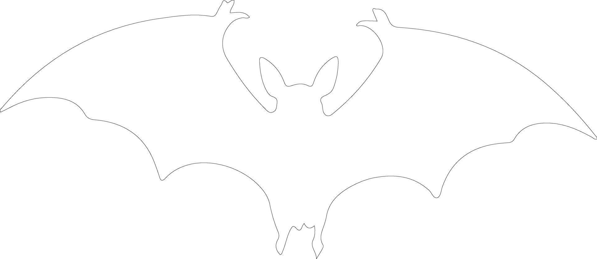 fruit bat    outline silhouette vector