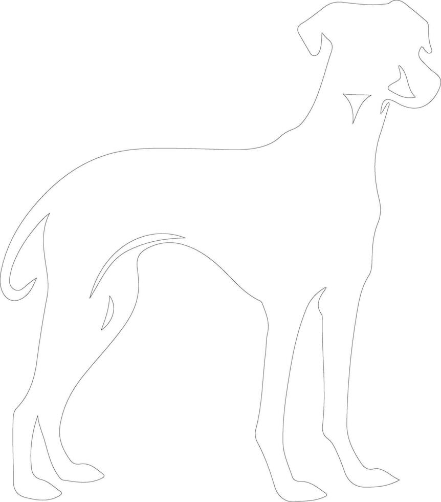 Whippet outline silhouette vector