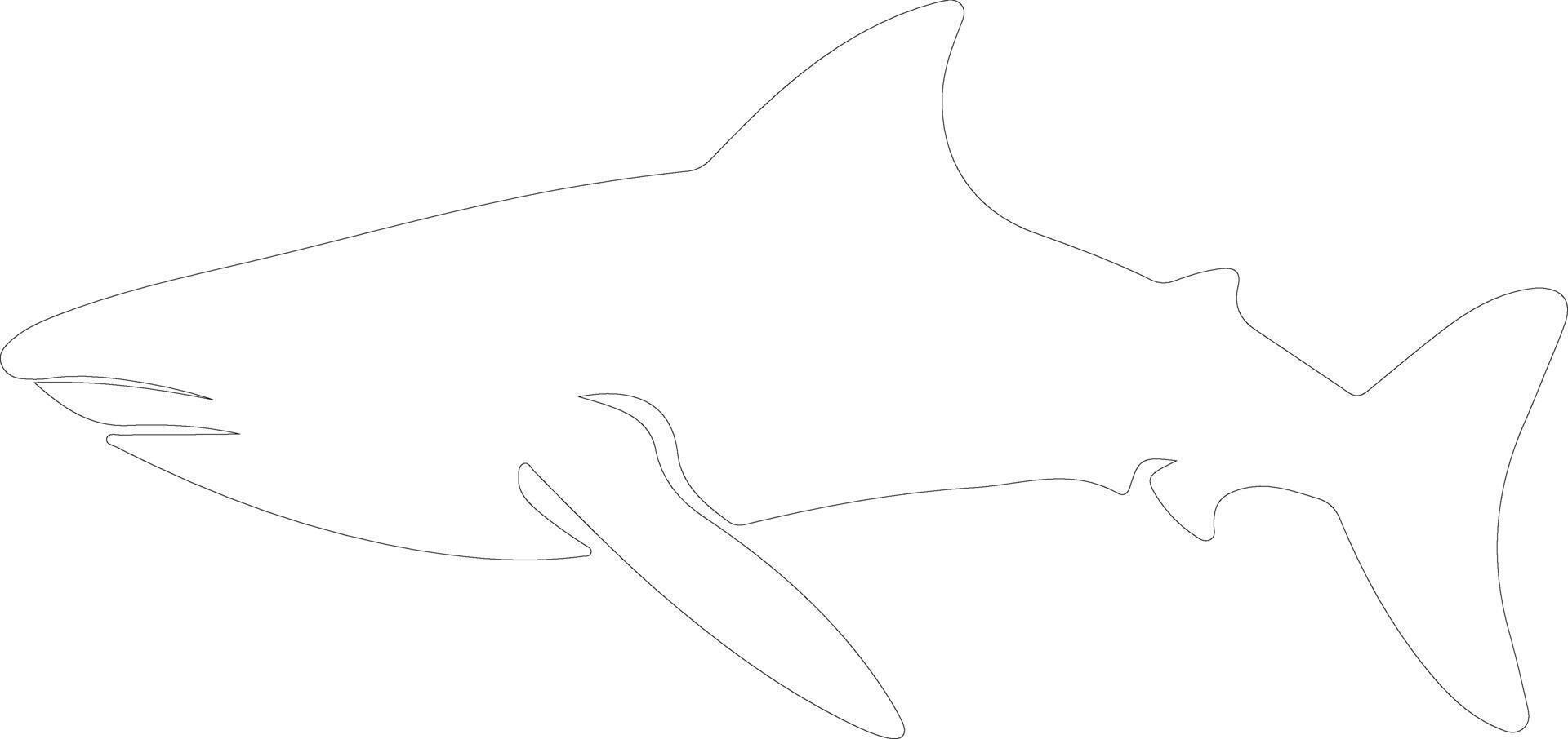 whale shark  outline silhouette vector