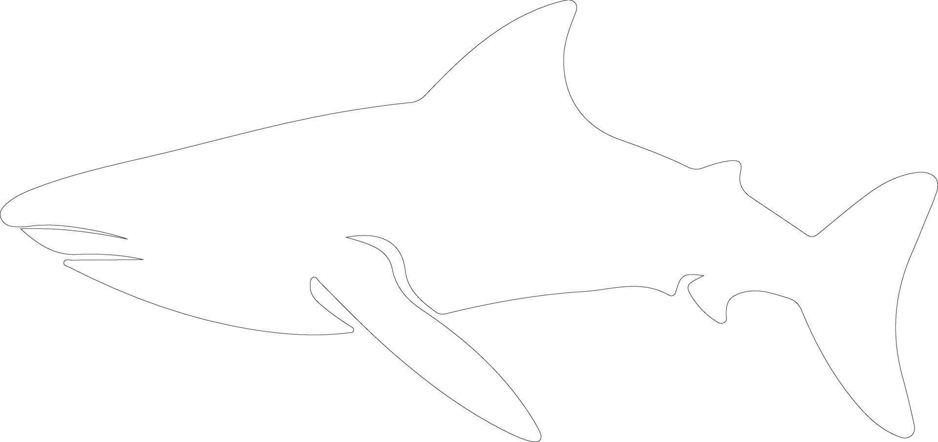 ballena tiburón contorno silueta vector