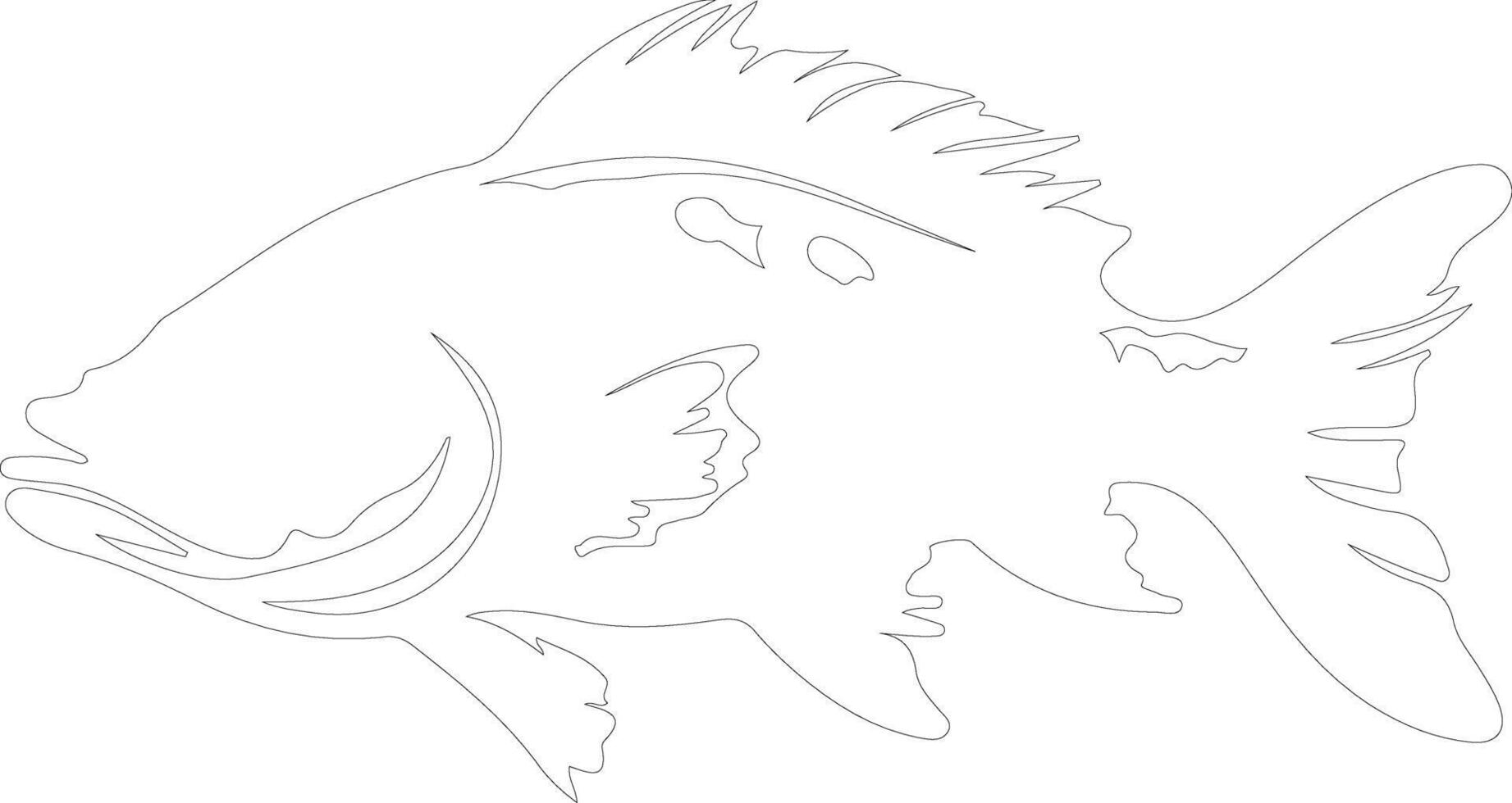 coelacanth outline silhouette vector