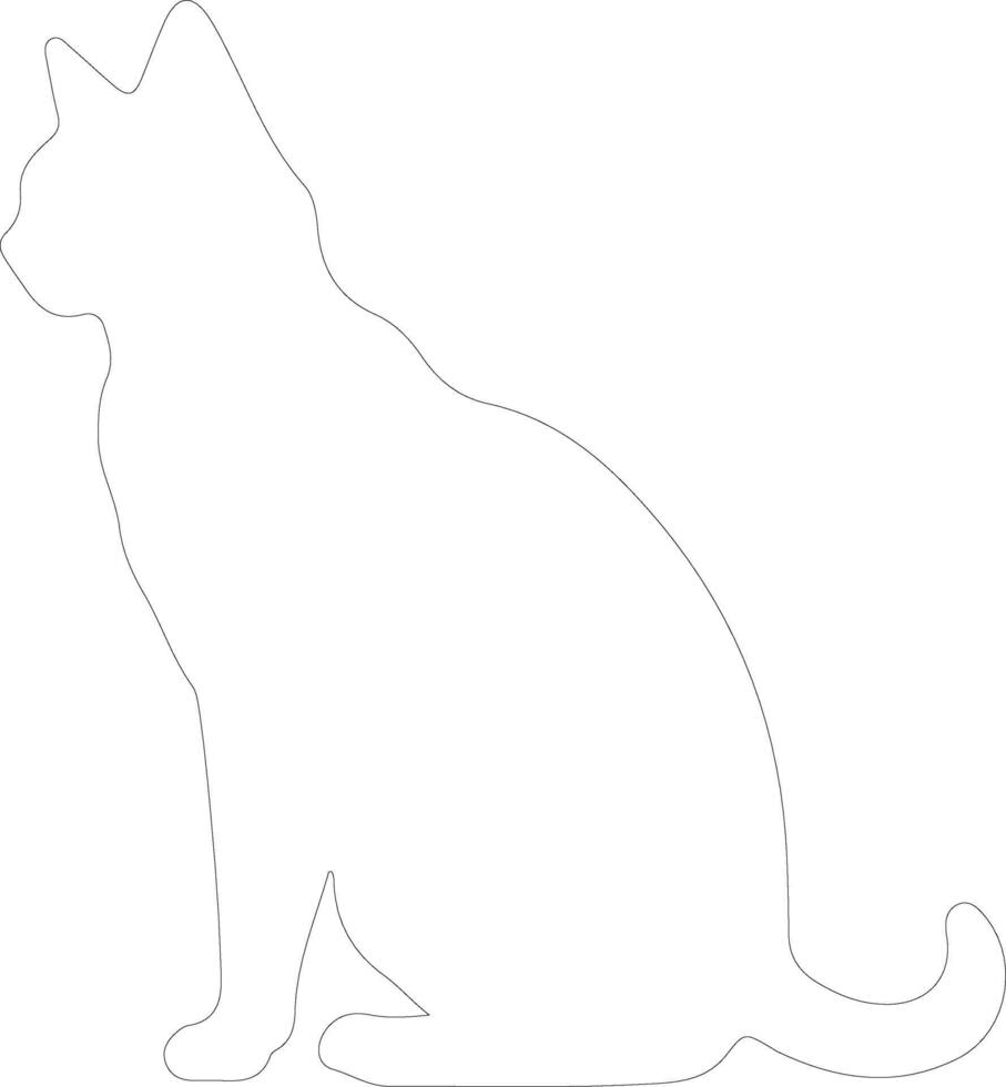 European Shorthair Cat  outline silhouette vector
