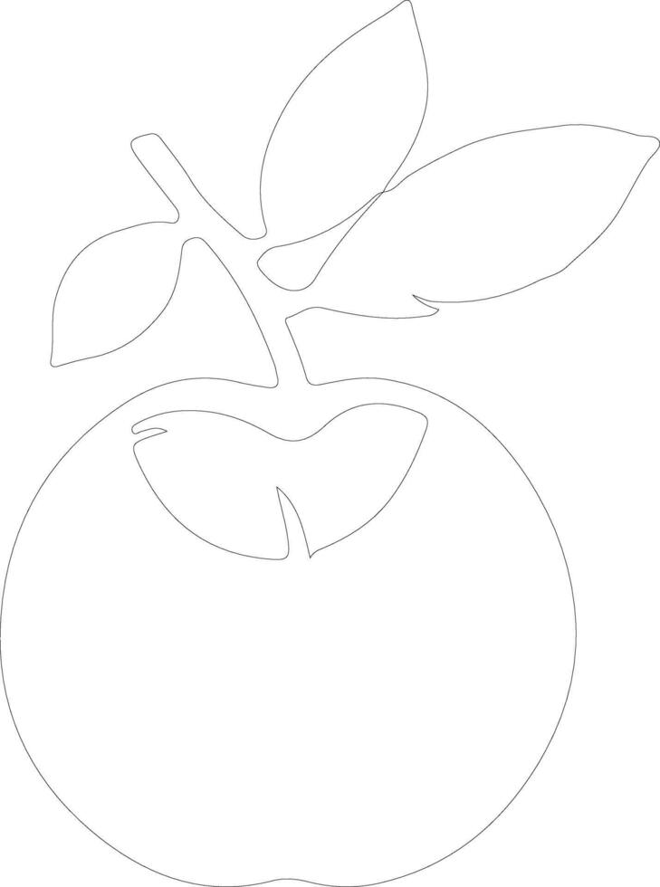 plum  outline silhouette vector