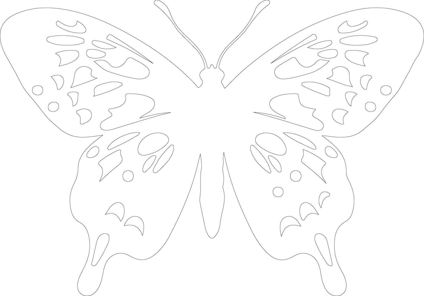 Oregon silverspot butterfly  outline silhouette vector
