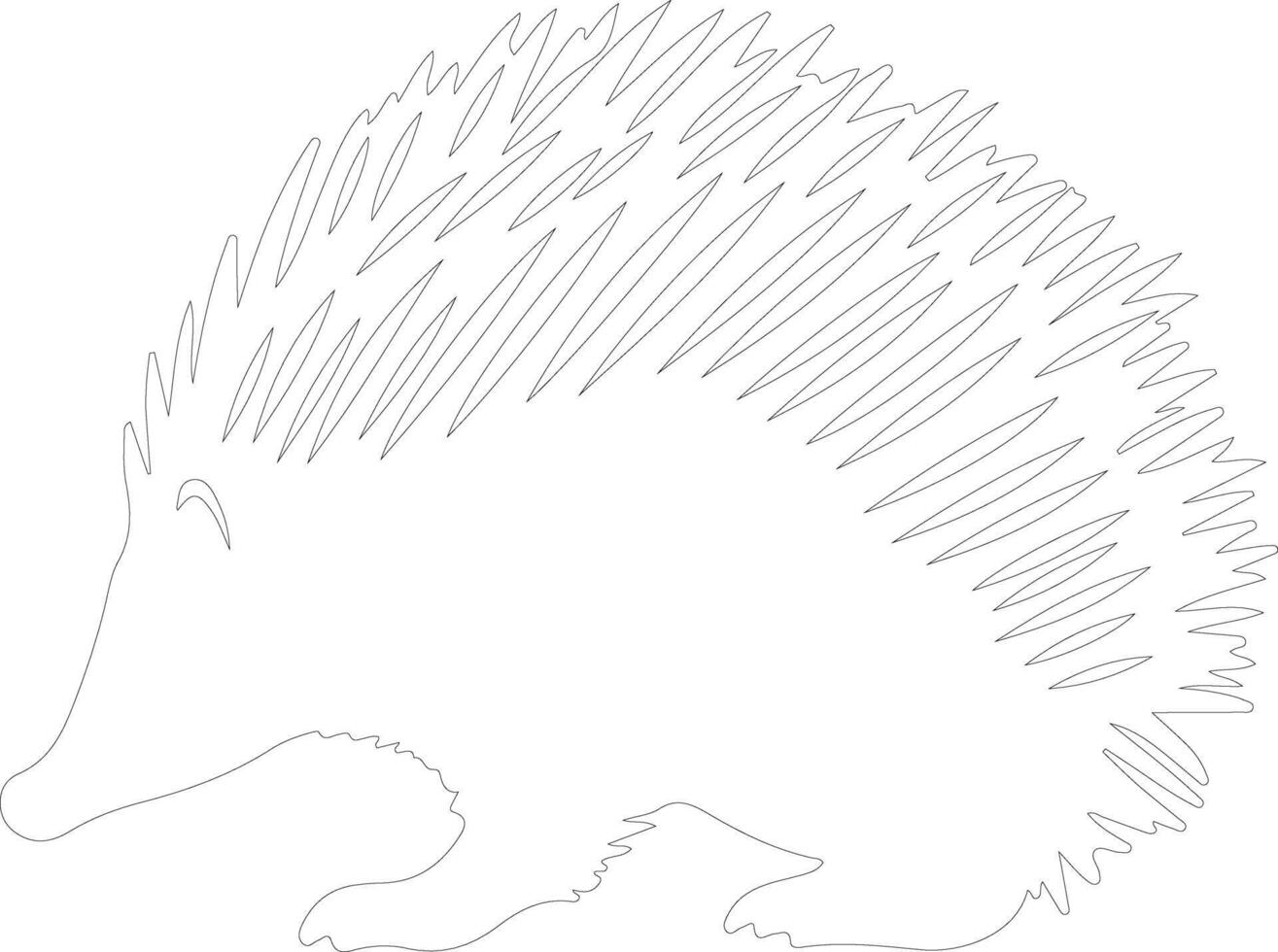 echidna    outline silhouette vector