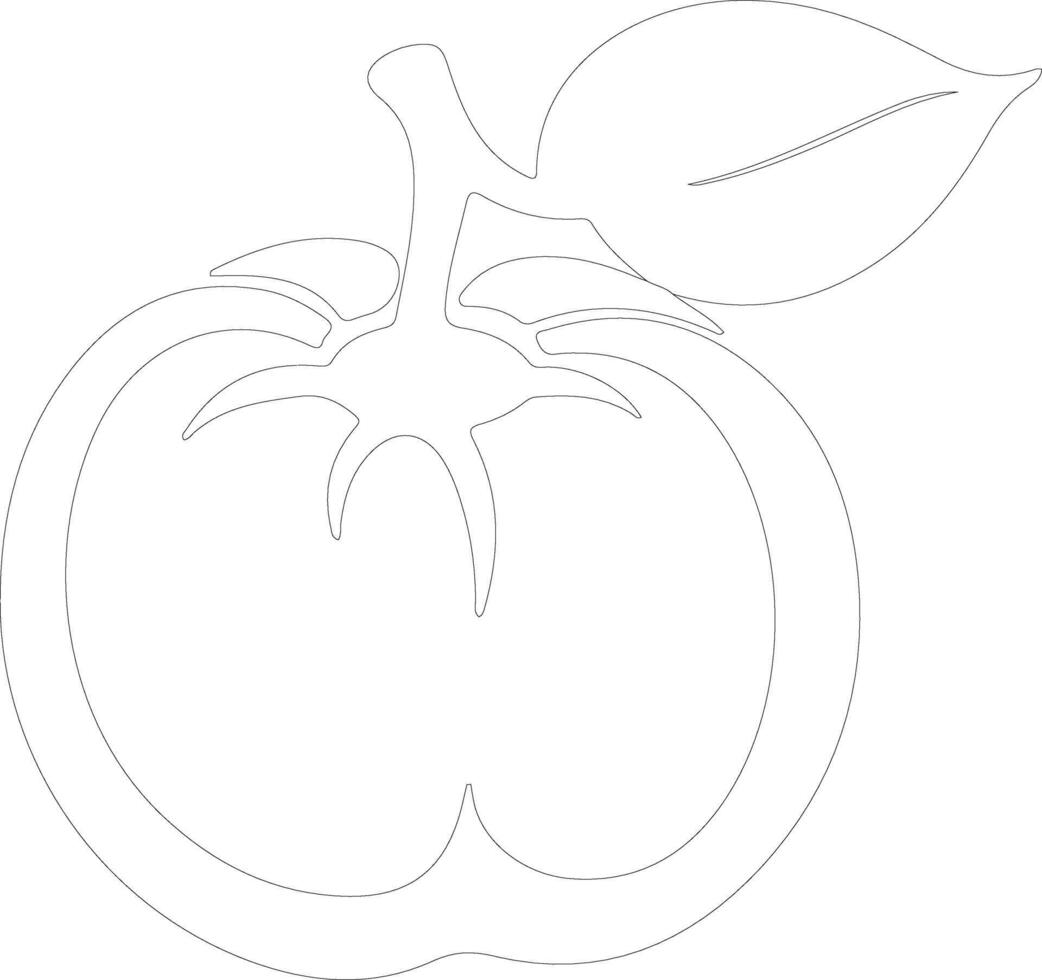 persimmon  outline silhouette vector