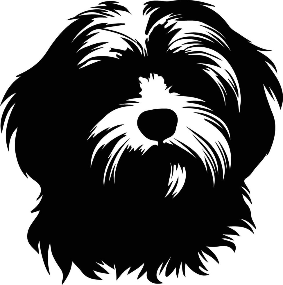 Havanese   black silhouette vector