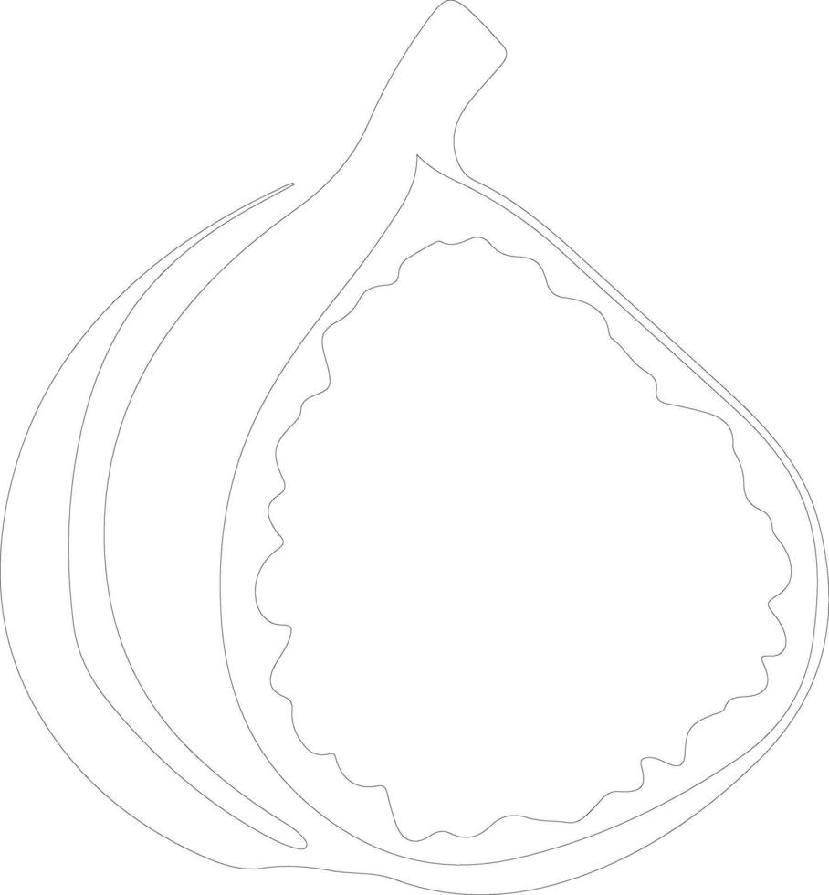fig  outline silhouette vector