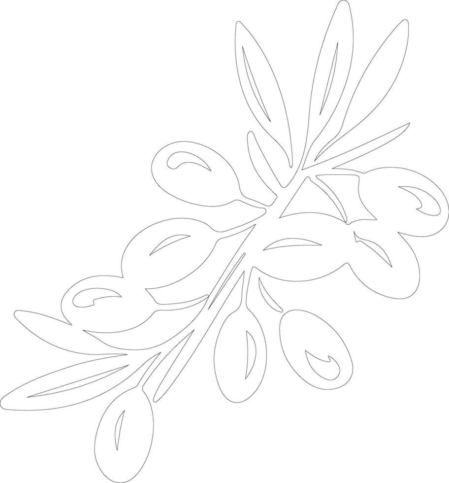olive  outline silhouette vector