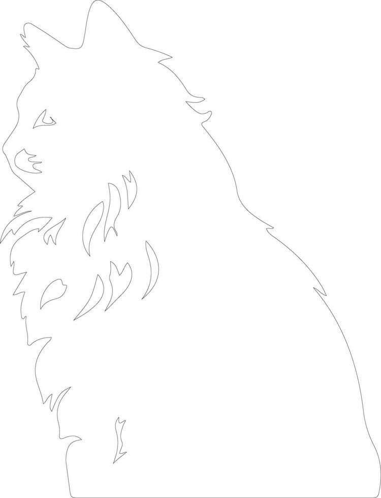 Maine Coon Cat  outline silhouette vector