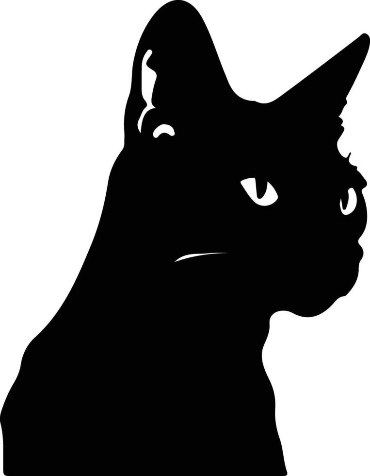 Burmilla Cat  silhouette portrait vector
