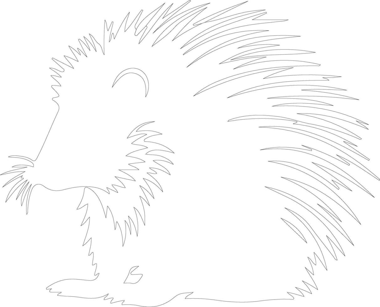 porcupine    outline silhouette vector