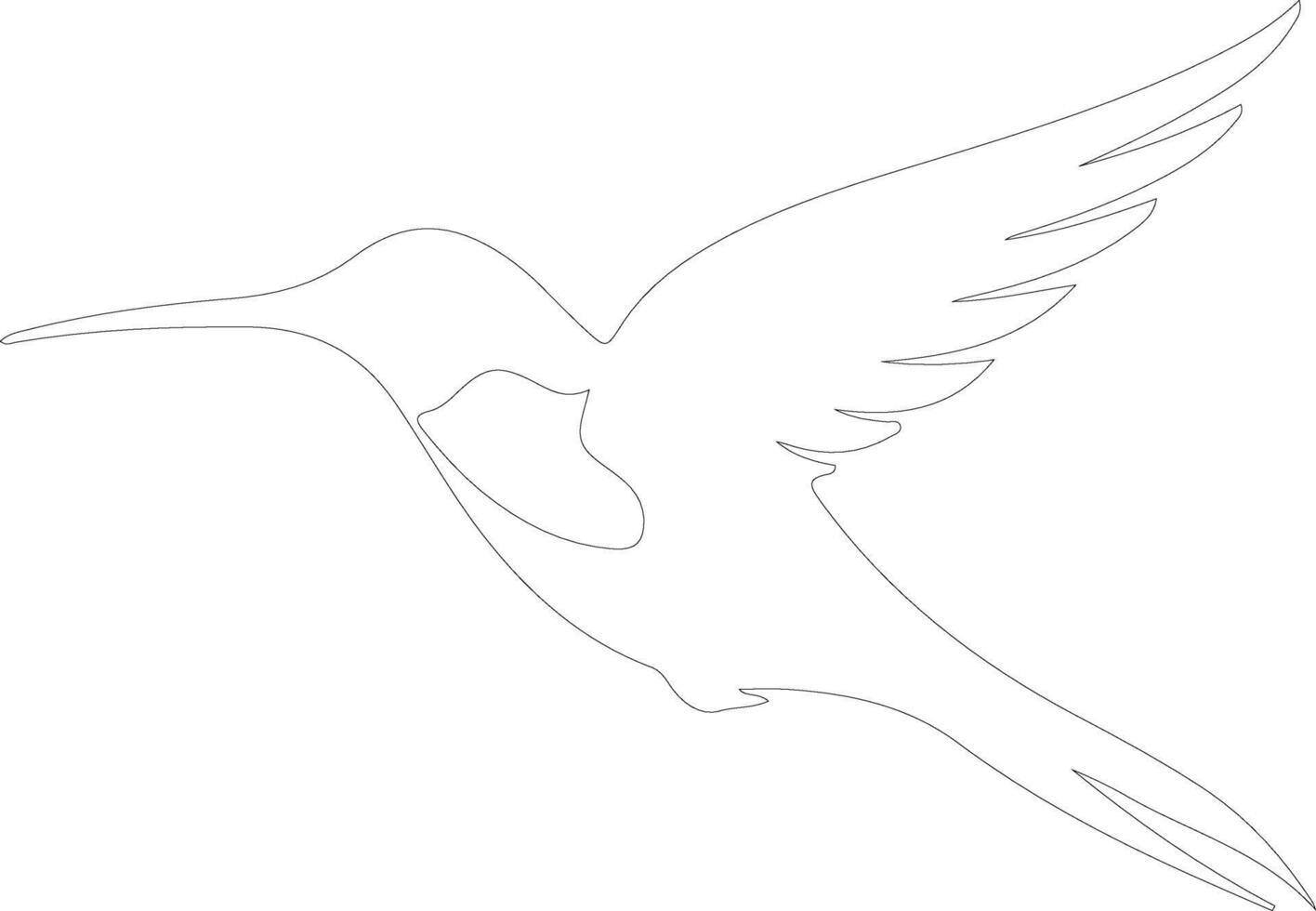 hummingbird  outline silhouette vector