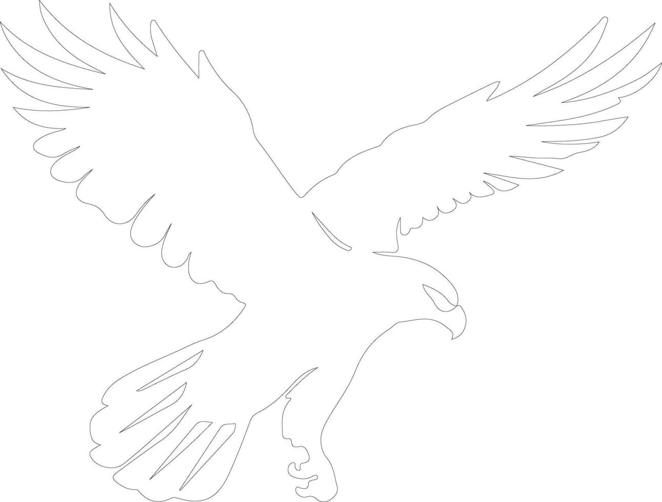 hawk  outline silhouette vector