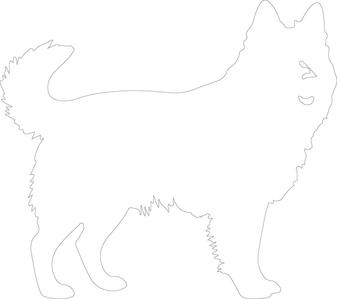 Schipperke outline silhouette vector