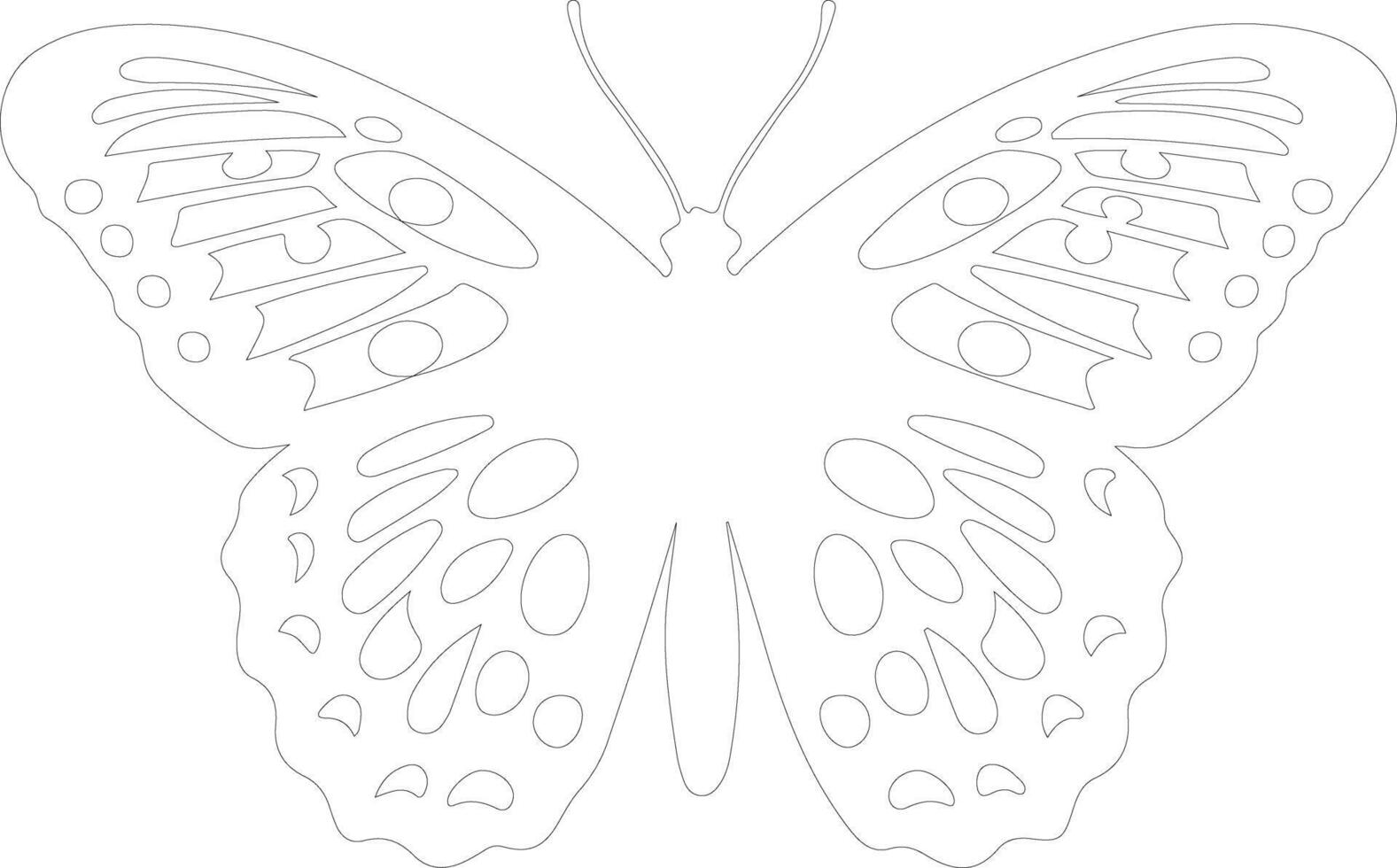 Oregon silverspot butterfly  outline silhouette vector