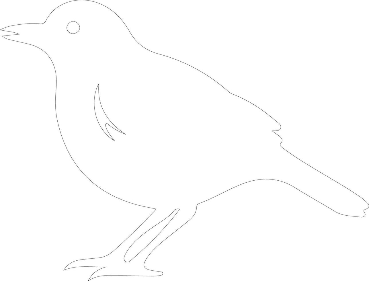 American Robin  outline silhouette vector