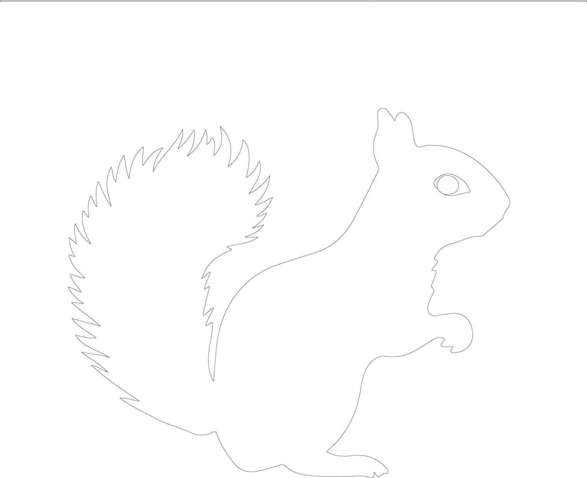 squirrel    outline silhouette vector