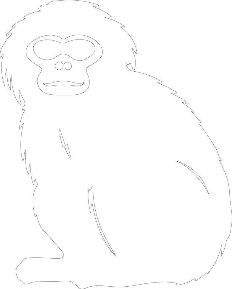 gibbon    outline silhouette vector