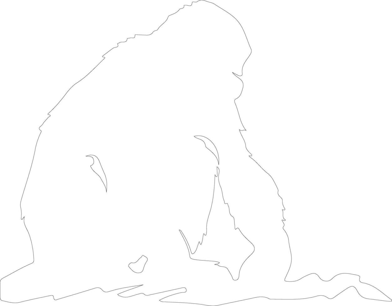 bonobo outline silhouette vector