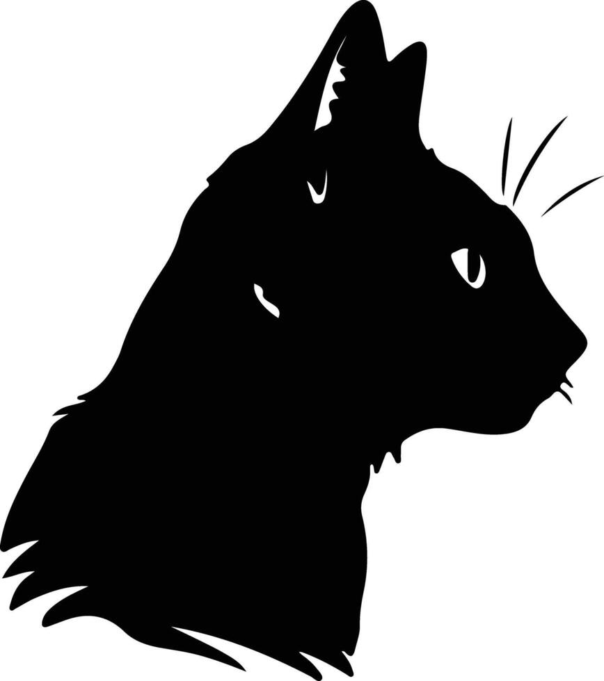 European Shorthair Cat  silhouette portrait vector