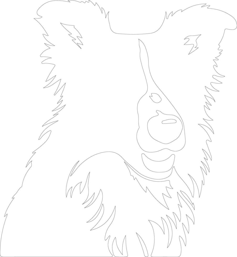 Border Collie  outline silhouette vector