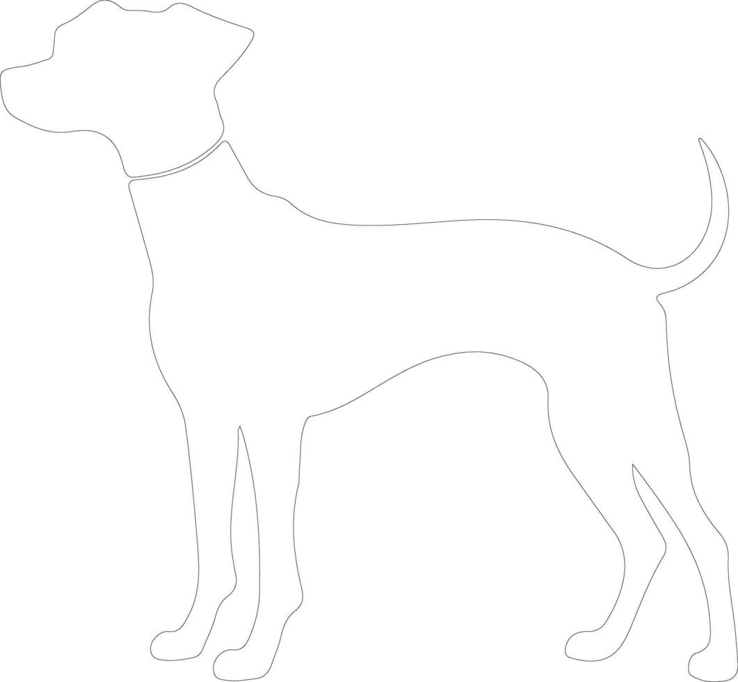 Italian Greyhound  outline silhouette vector