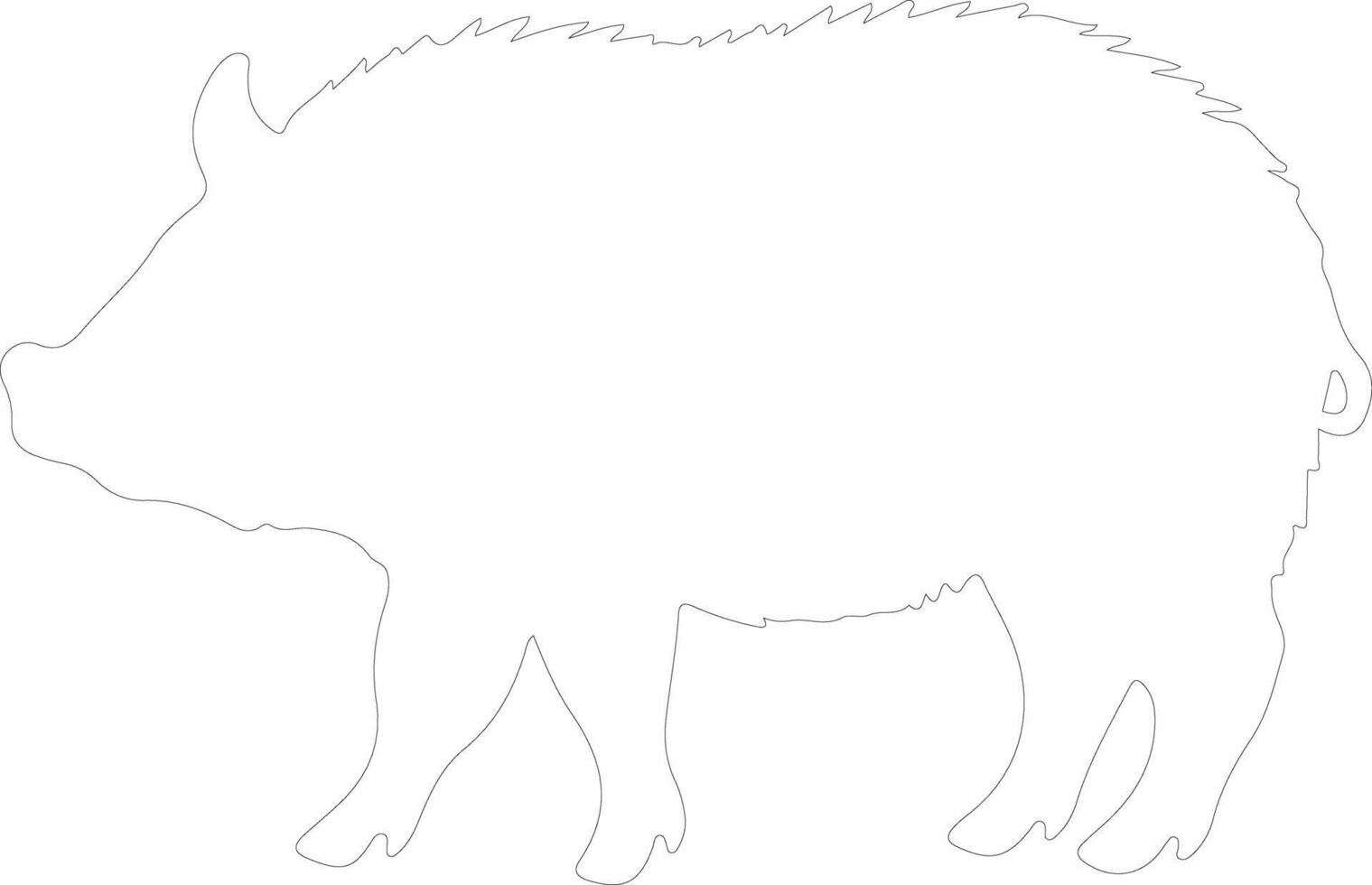 collaredpeccary outline silhouette vector