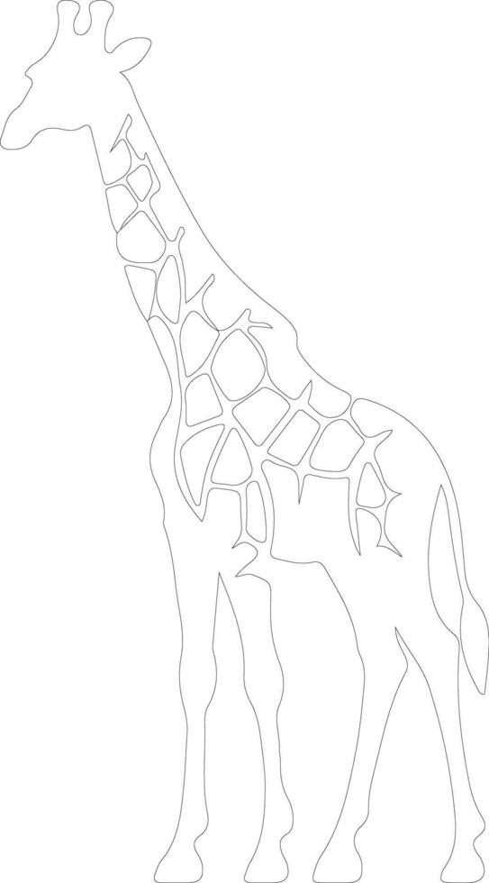 giraffe   outline silhouette vector