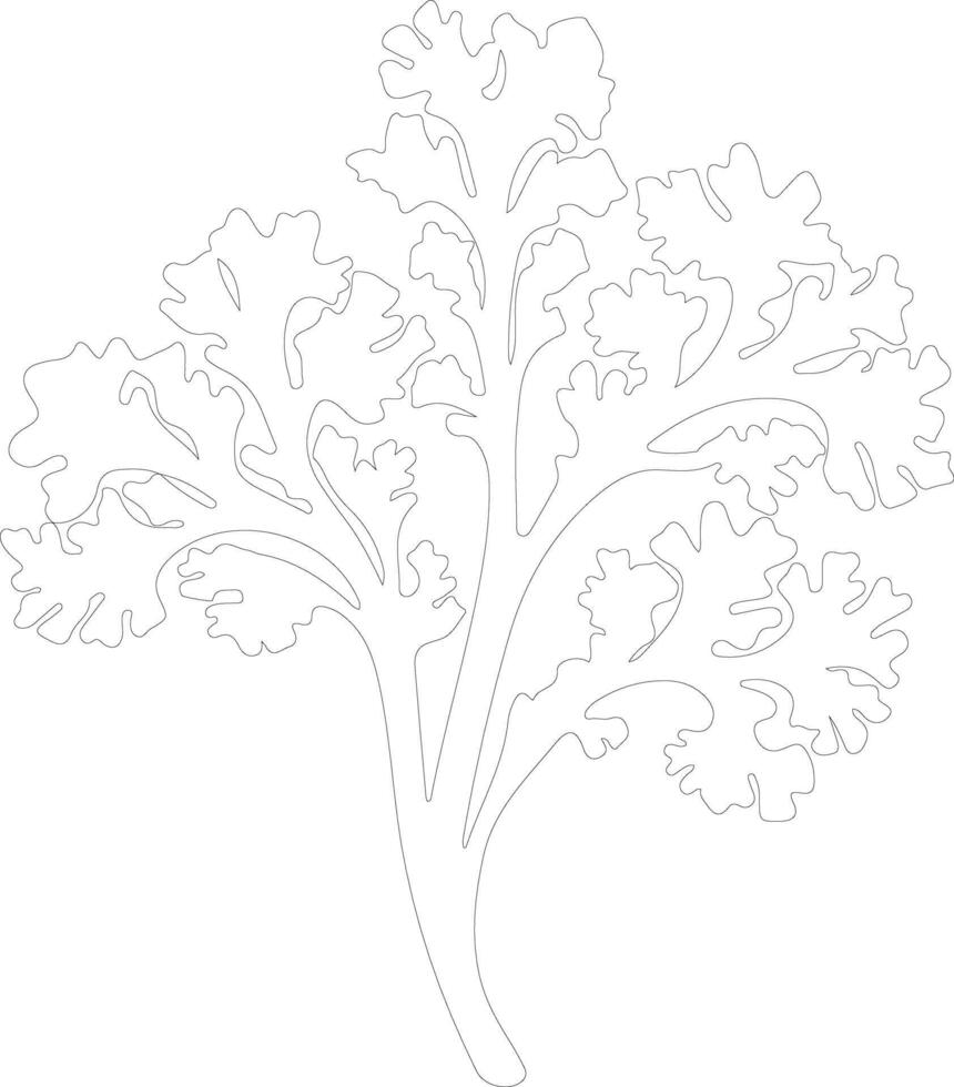 kale  outline silhouette vector