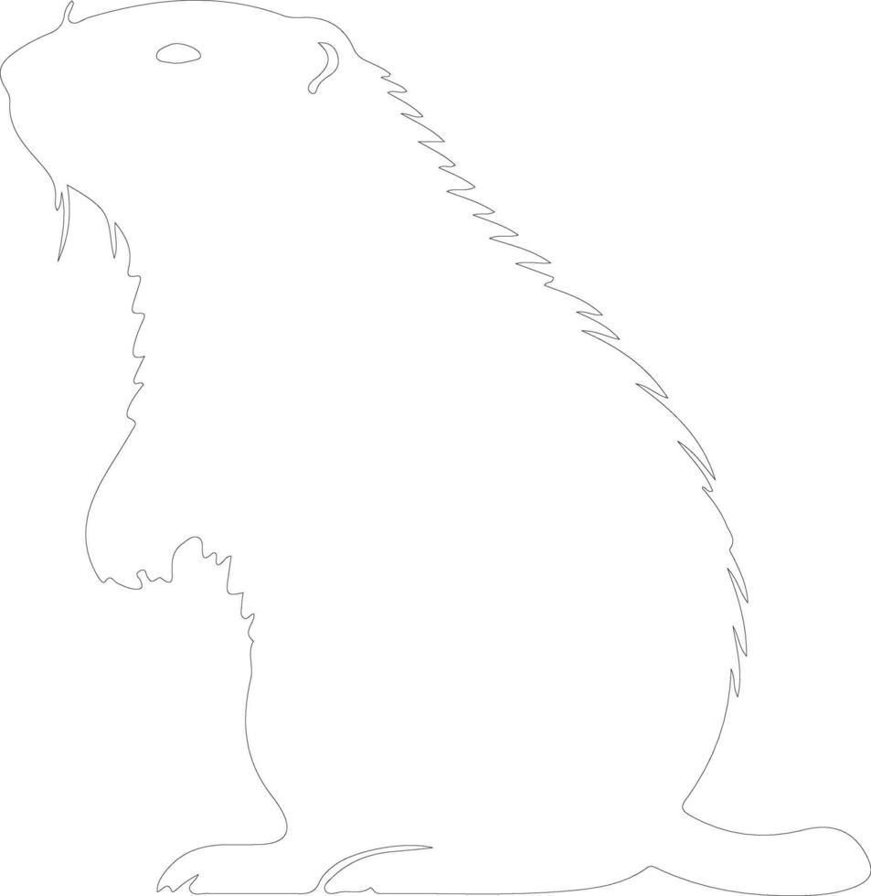 groundhog  outline silhouette vector