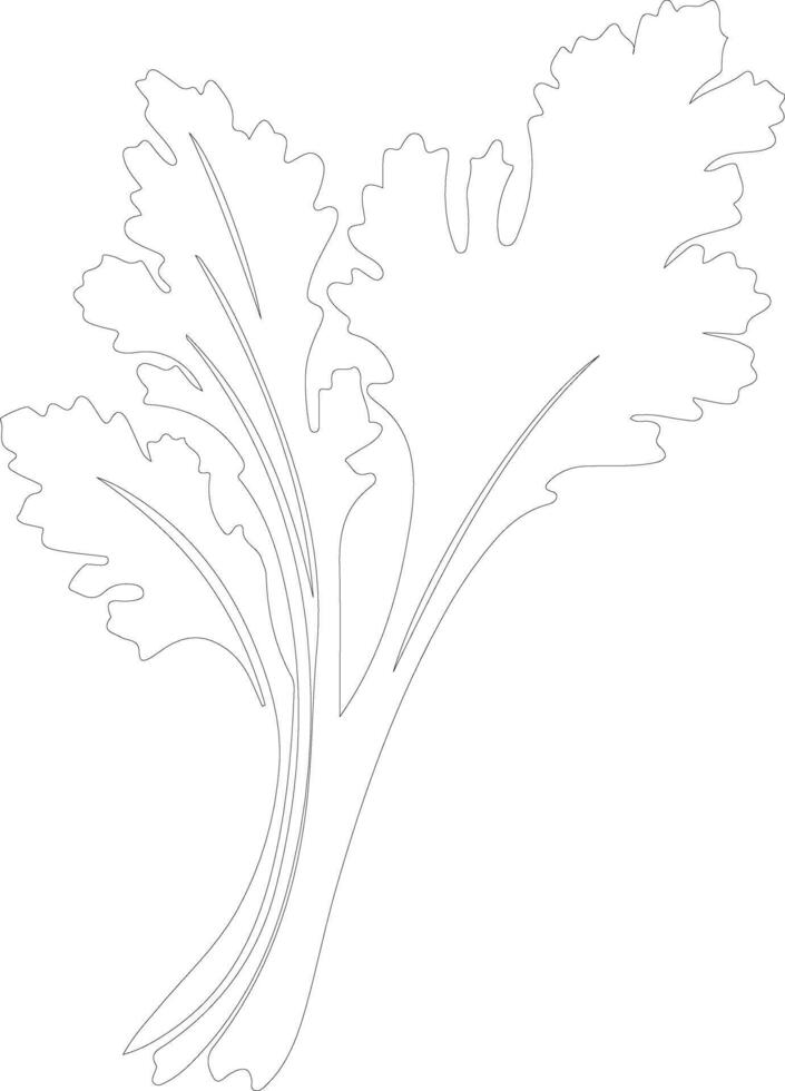 celery  outline silhouette vector