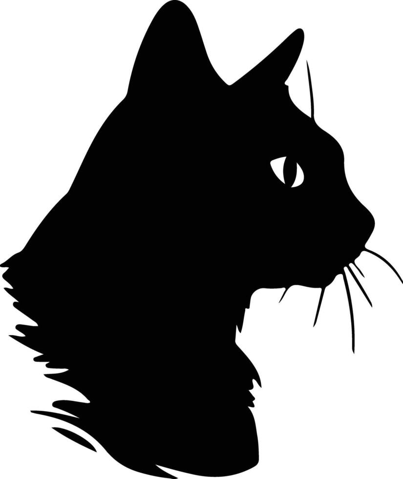 European Shorthair Cat  silhouette portrait vector
