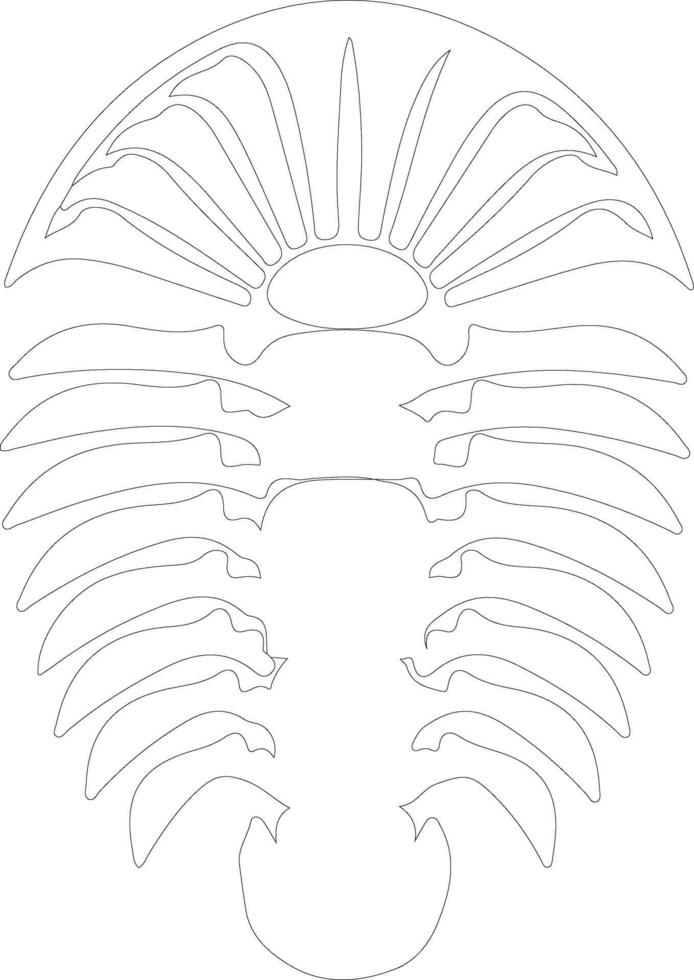 trilobite contorno silueta vector