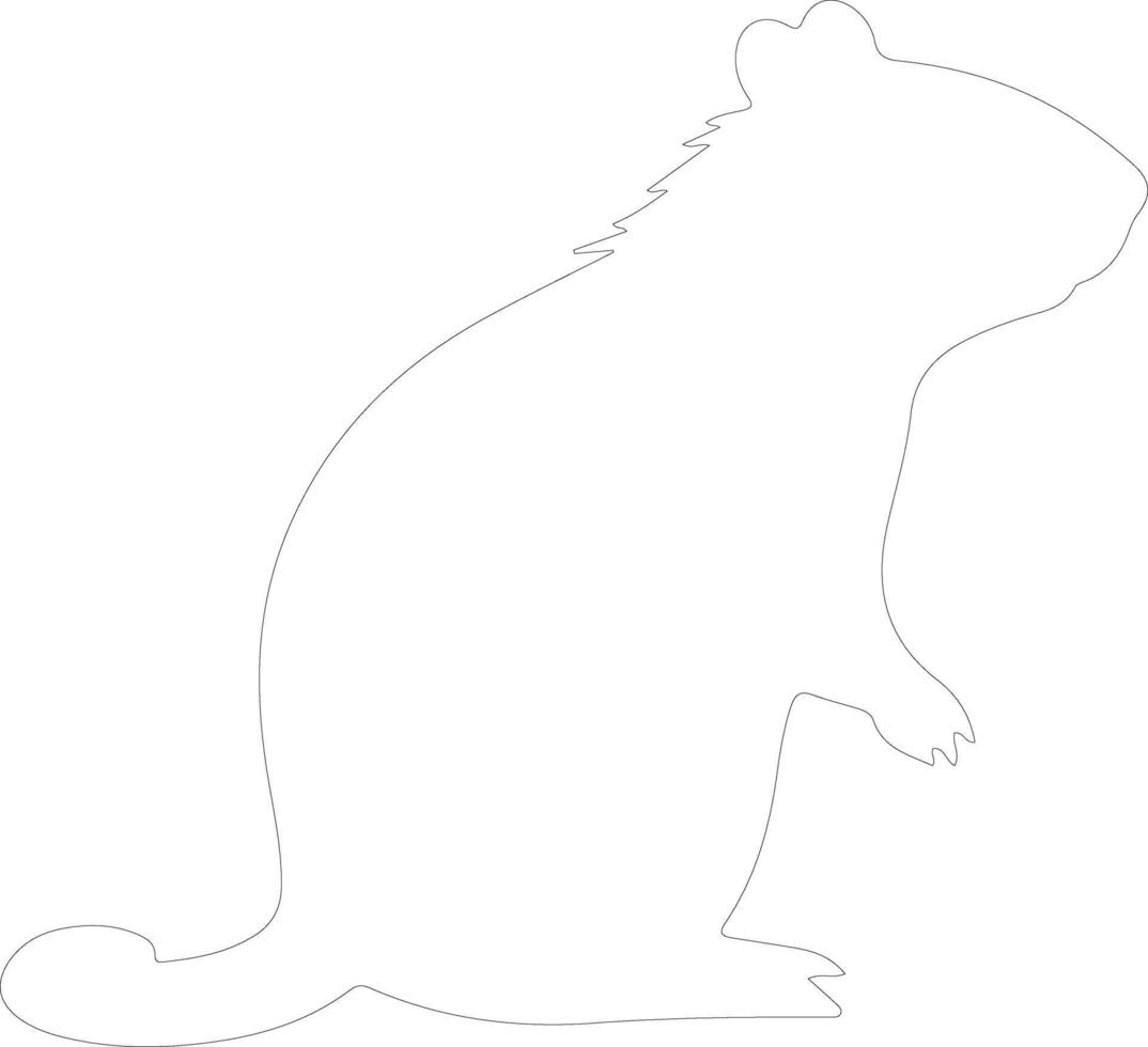 agouti outline silhouette vector