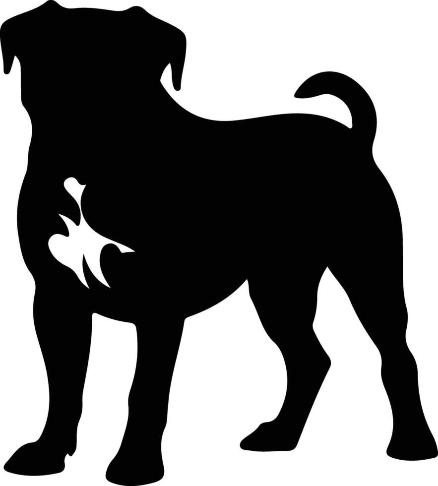 Cane Corso    black silhouette vector