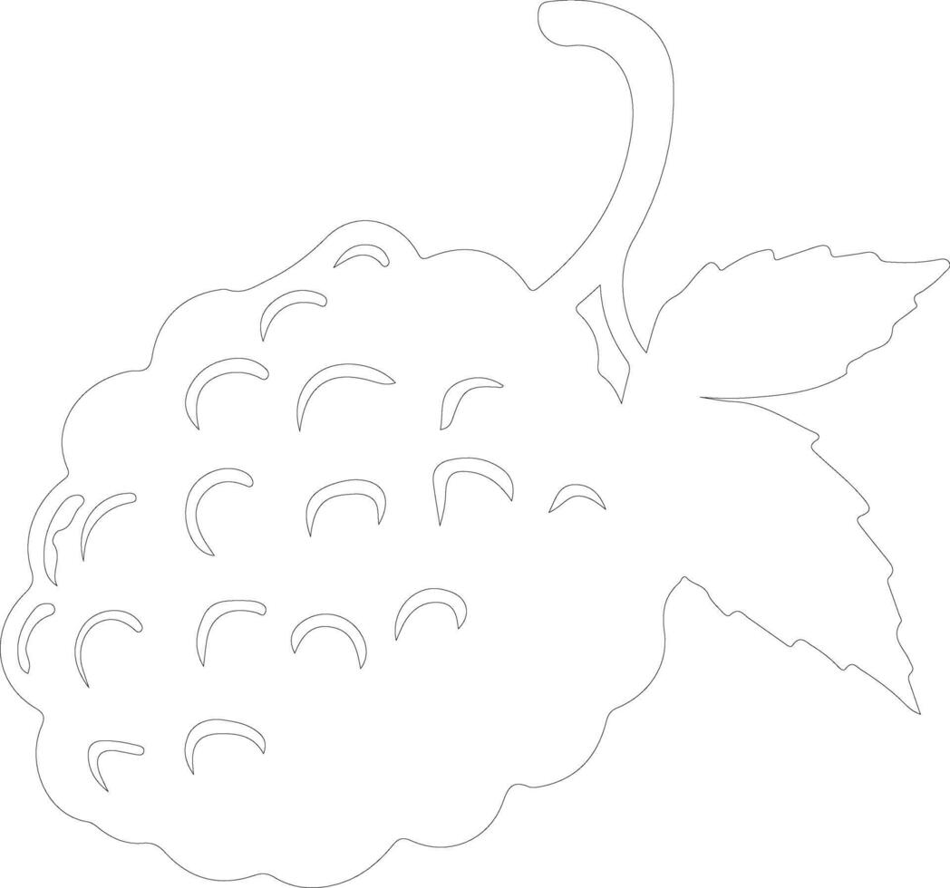 blackberry  outline silhouette vector