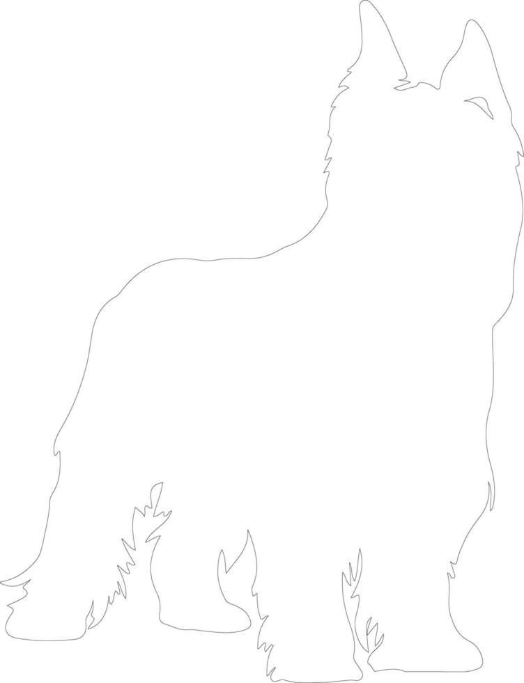 Briard outline silhouette vector