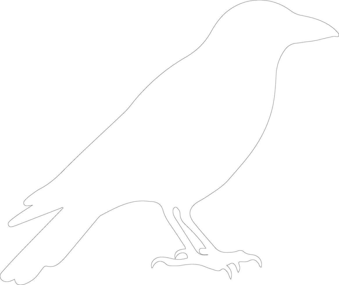 crow outline silhouette vector