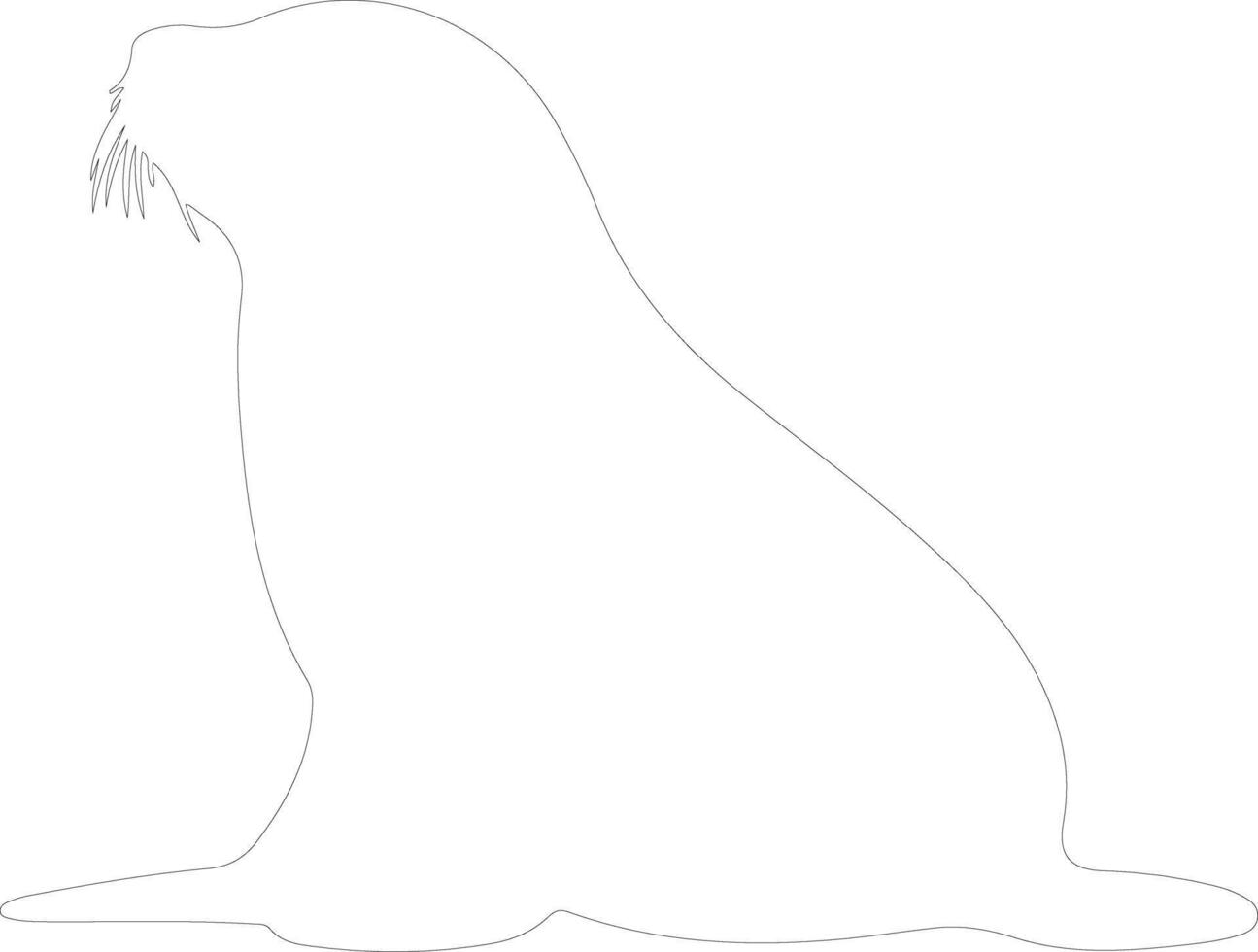 Weddell seal  outline silhouette vector