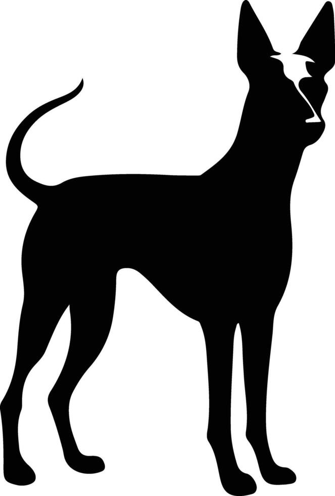 Pharaoh Hound black silhouette vector