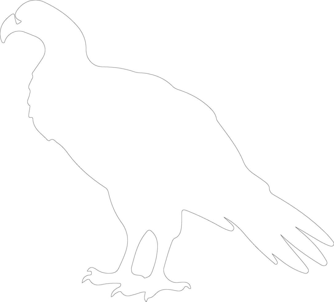 vulture  outline silhouette vector