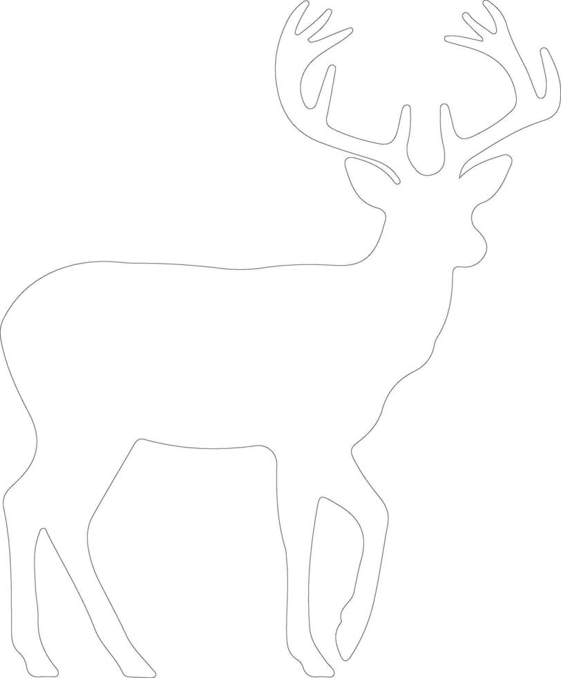 white-tailed deer  outline silhouette vector