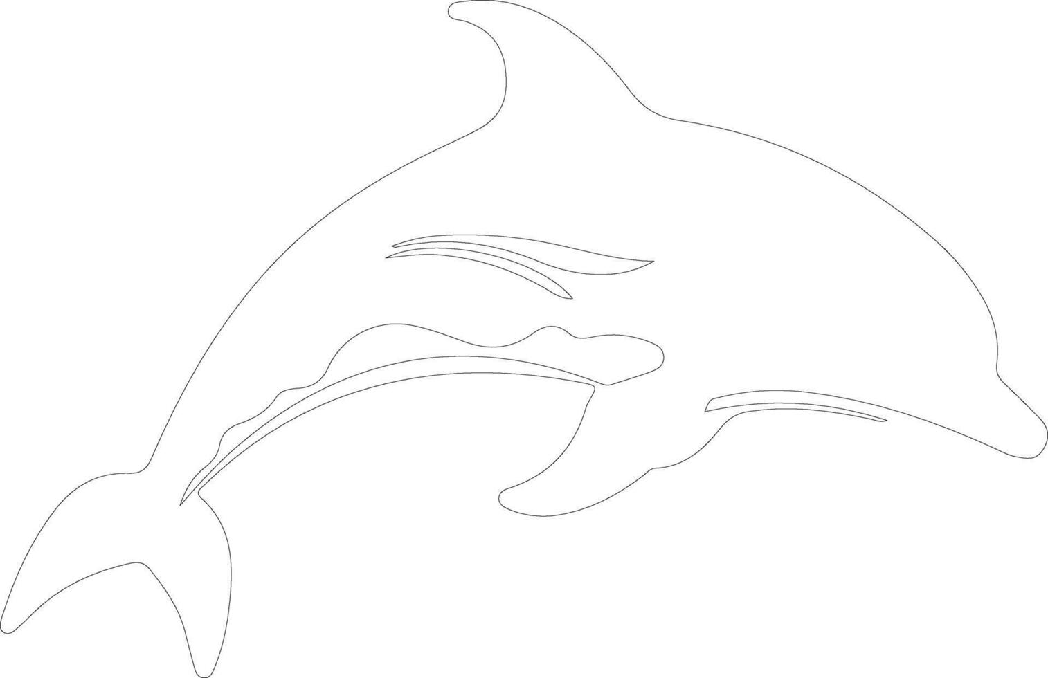 dolphin spotted   outline silhouette vector