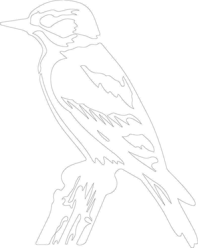 downy woodpecker   outline silhouette vector