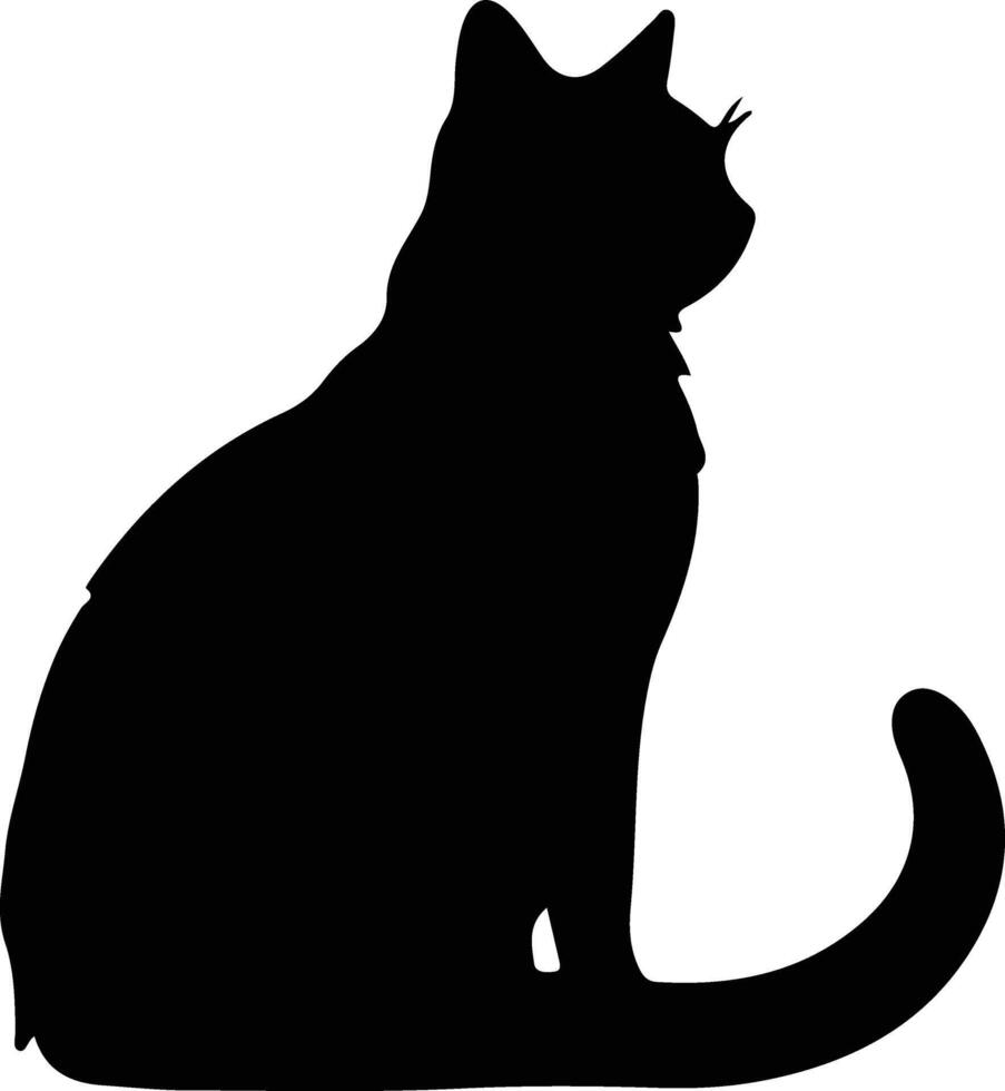 Australian Mist Cat  black silhouette vector