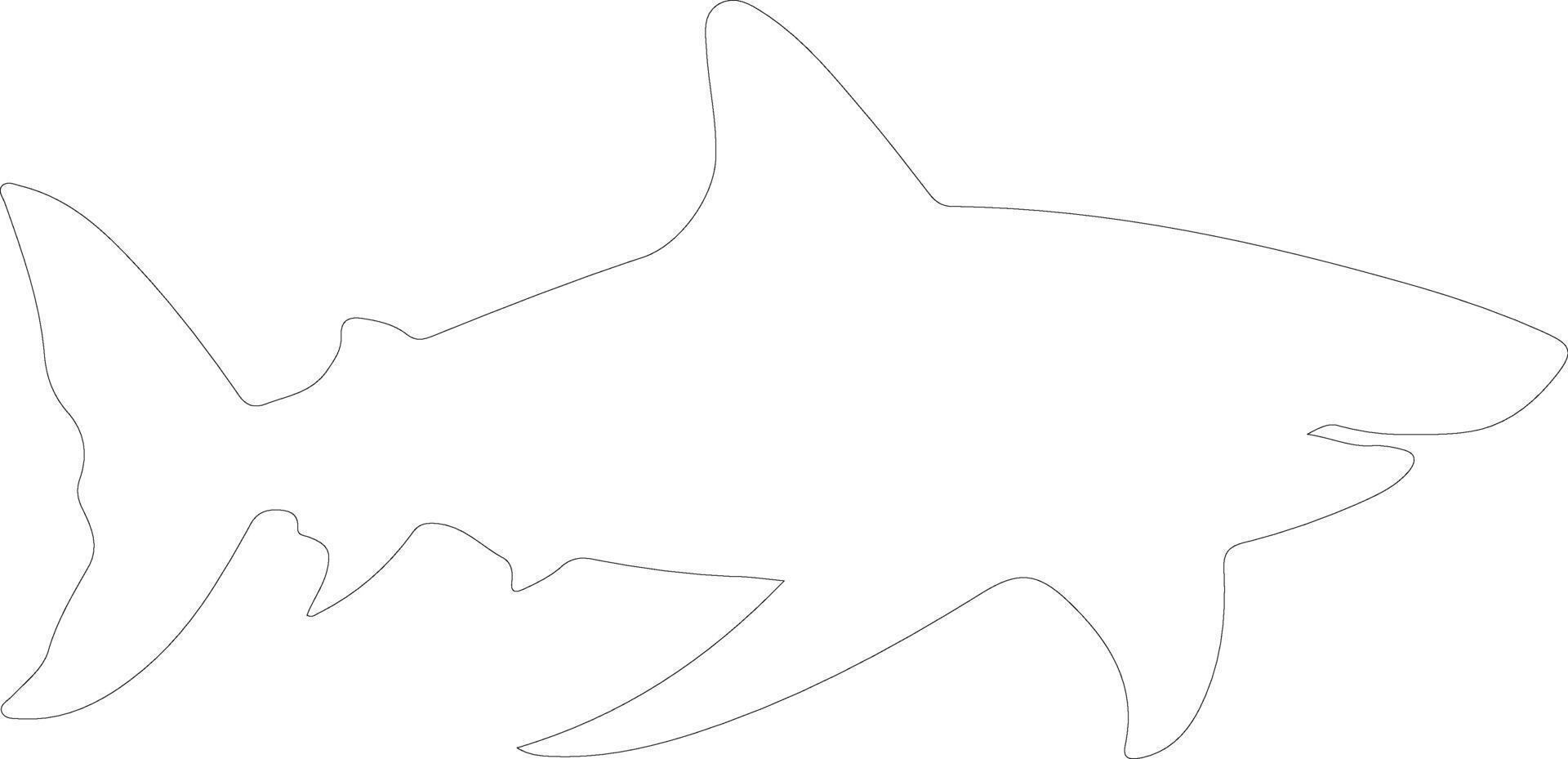 bullshark outline silhouette vector