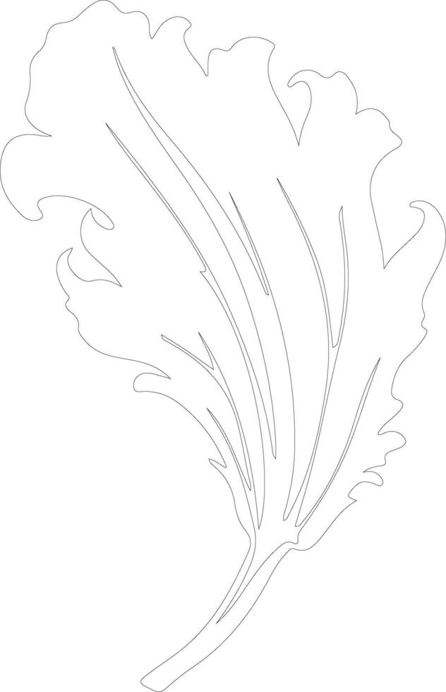 endive outline silhouette vector