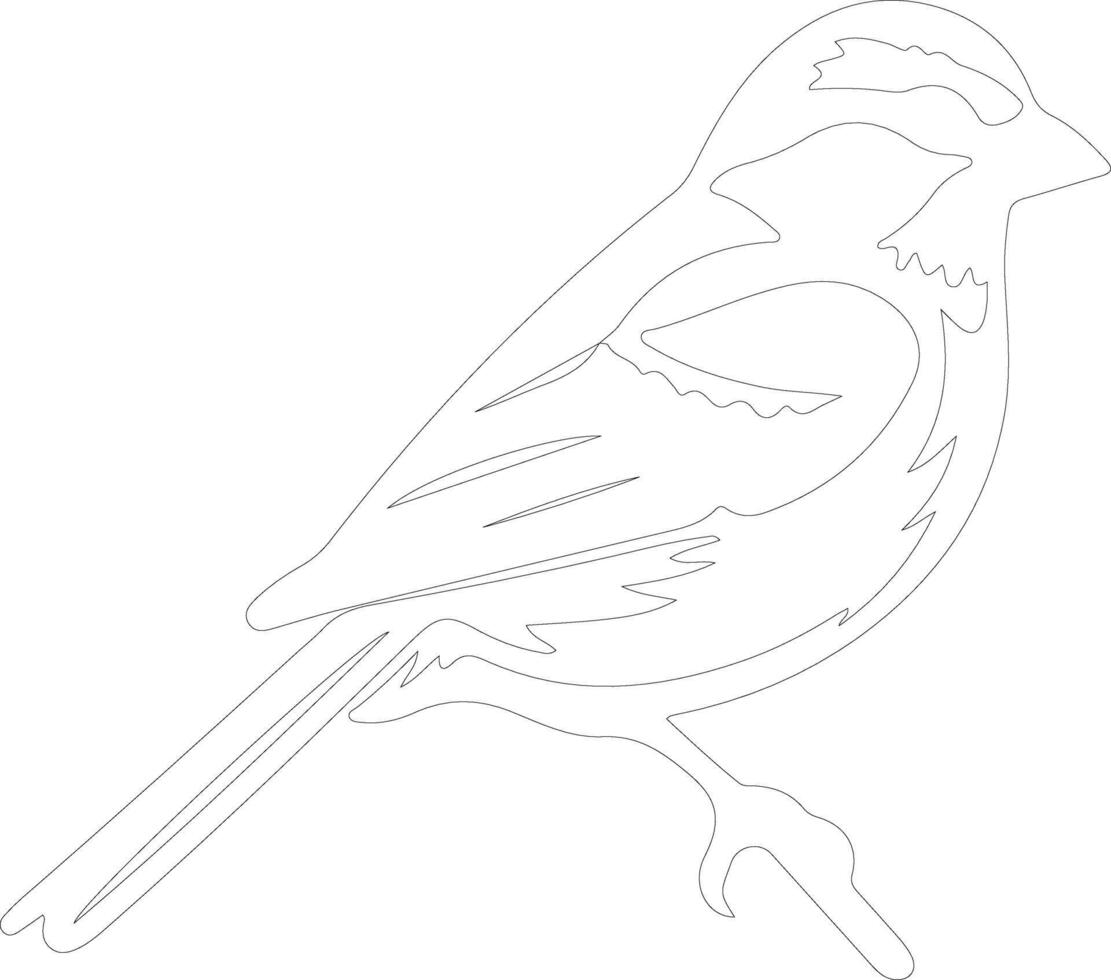 American tree sparrow  outline silhouette vector